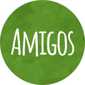 Amigos for Children Foundation_s logo (1)