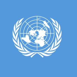 2025-07-22 09_43_02-united nations logo - Recherche Google