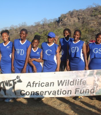 Jeux de ballon et compétitions communautaires en lien avec l&rsquo;environnement